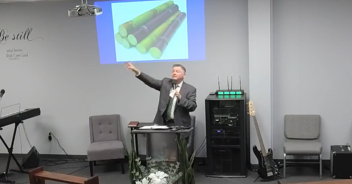 Bruised, Broken, Crushed